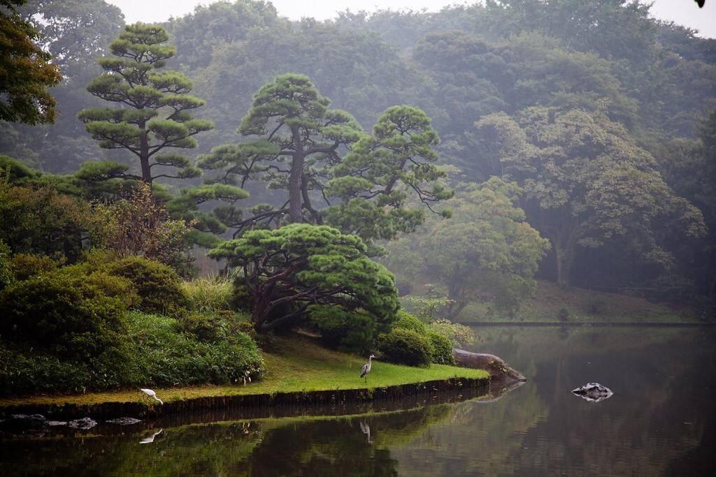 Tora Hotel Tokyo-Rikugienn 寅ホテル 六義園 C Tóquio Exterior foto